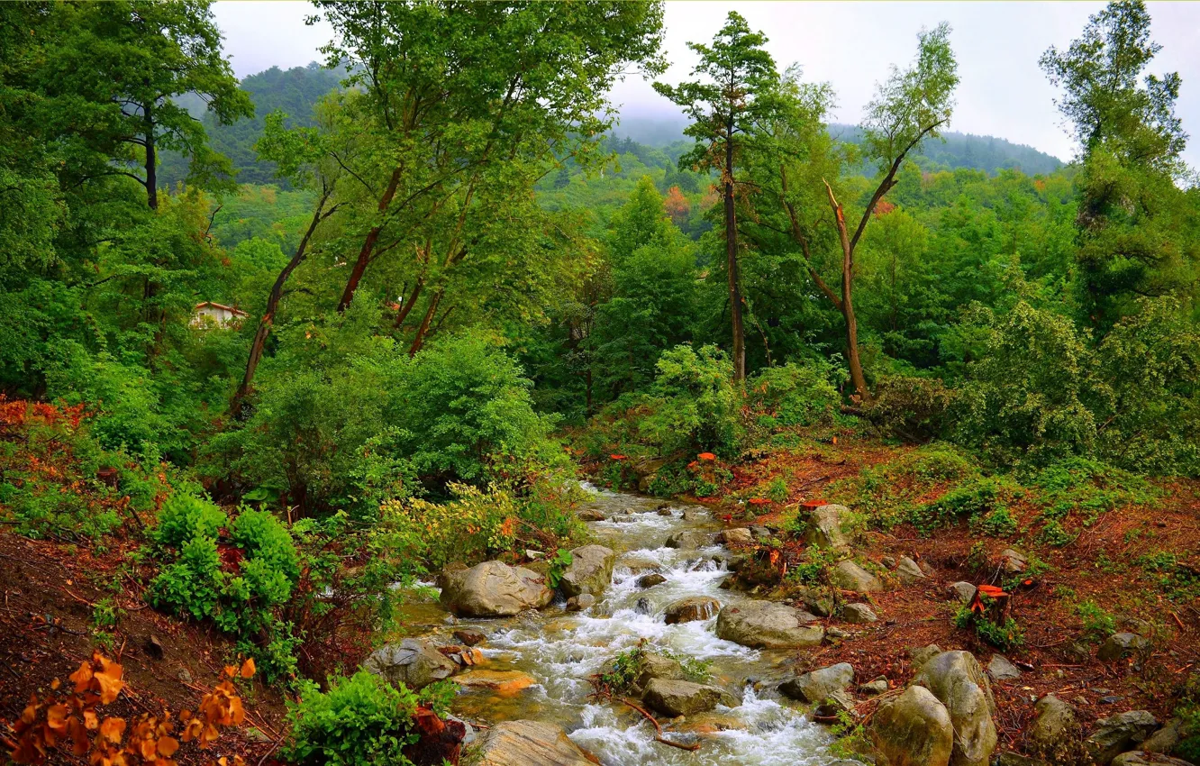 Фото обои Природа, Поток, Деревья, Камни, Ручей, Пейзаж, Nature, River