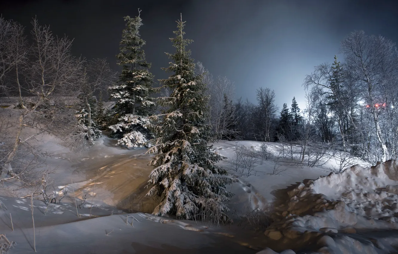 Фото обои зима, снег, пейзаж, ночь, ёлки