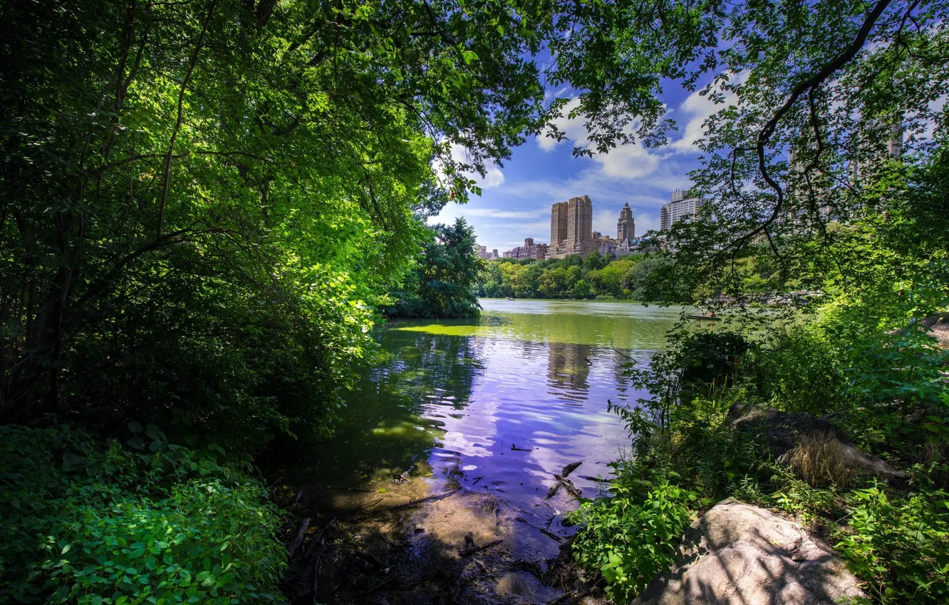 Фото обои деревья, пейзаж, озеро, Central Park - New York City