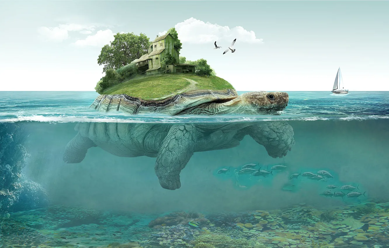 Фото обои море, черепаха, парусник, фото арт