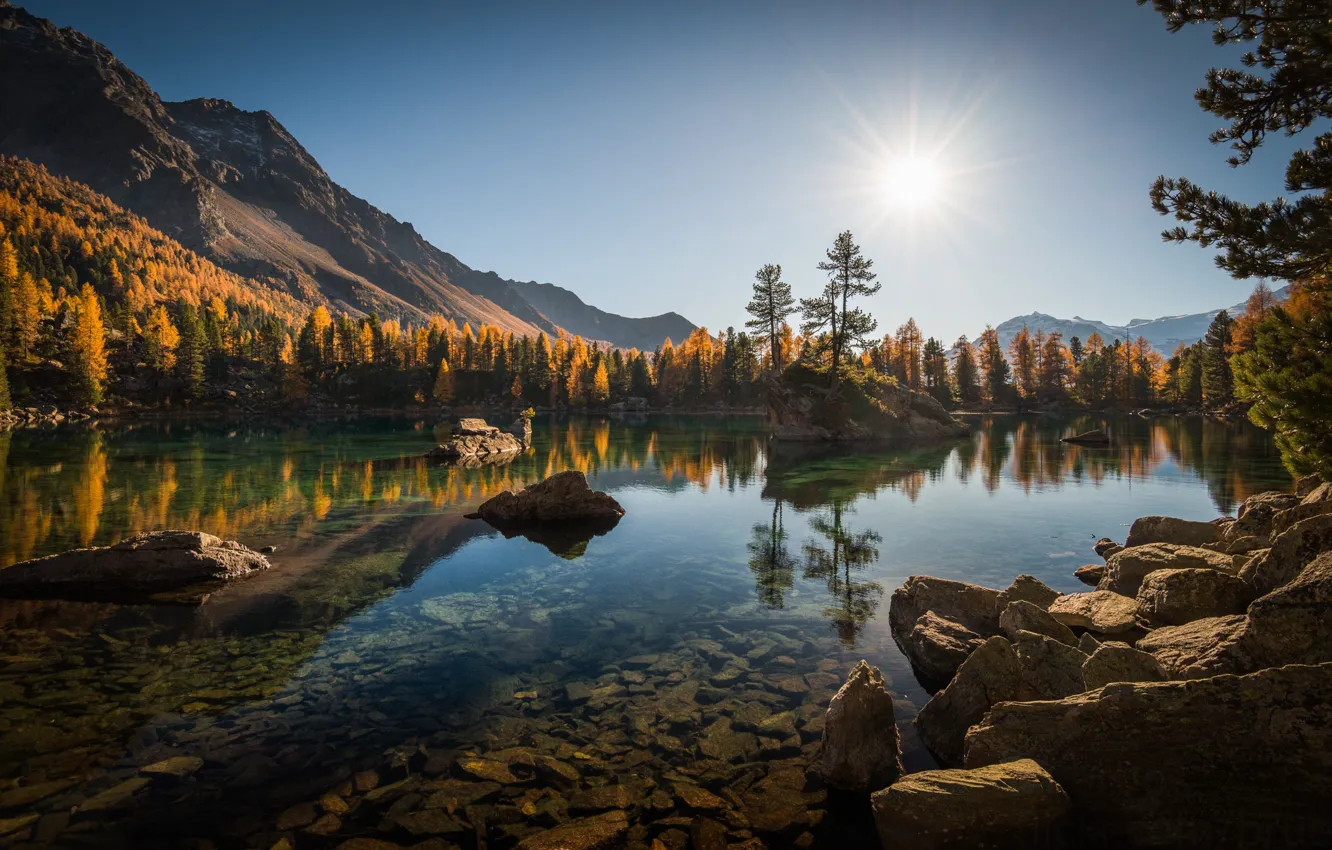 Фото обои осень, лес, деревья, горы, озеро, отражение, камни, Швейцария