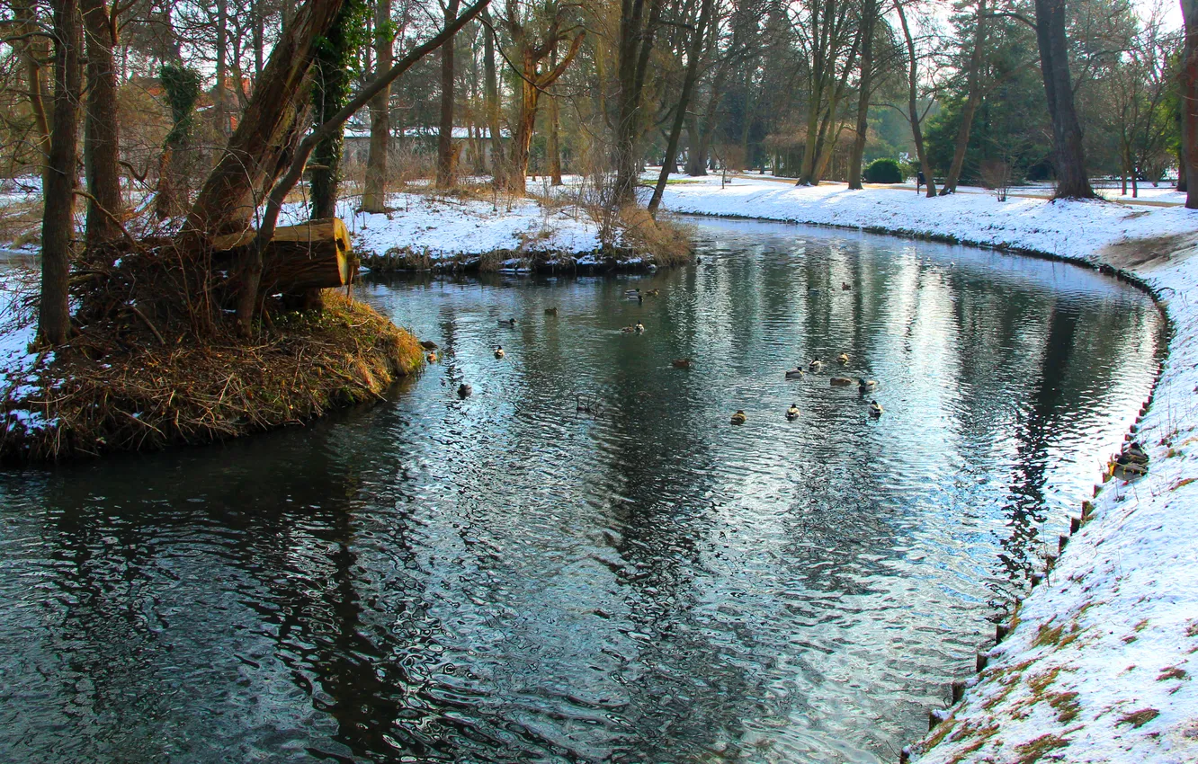 Фото обои water, park, winter, pond