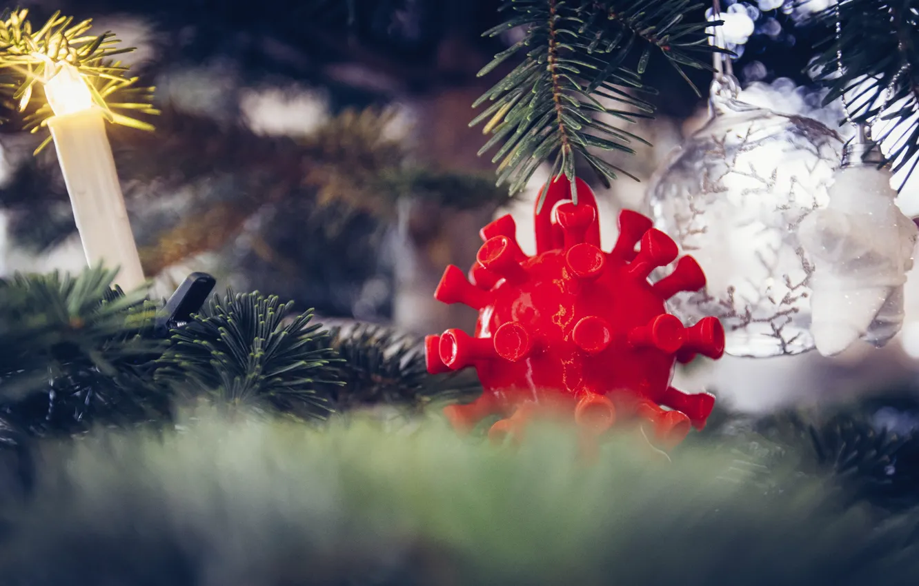 Фото обои ветки, красный, праздник, свеча, размытие, шарик, шипы, Рождество