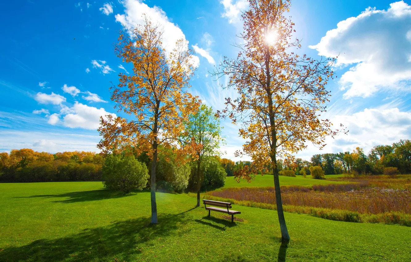 Фото обои осень, небо, трава, деревья, пруд, парк, скамья