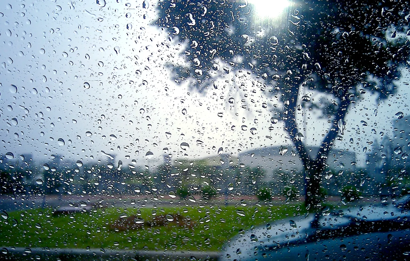 Фото обои стекло, капли, город, дождь