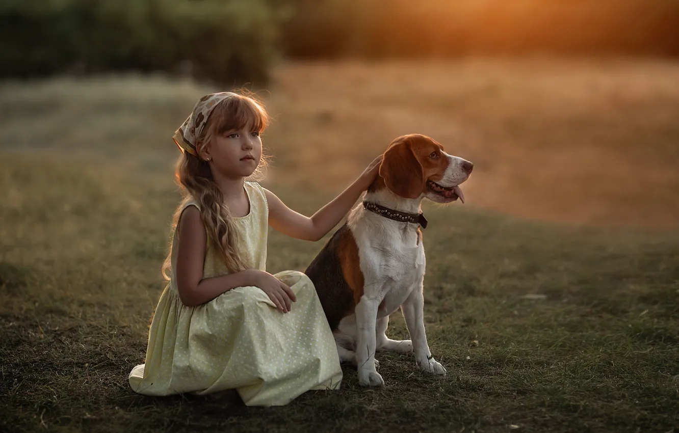Фото обои собака, платье, девочка, друзья, бигль, Марина Еленчук