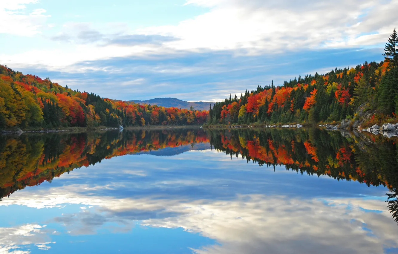 Фото обои осень, лес, небо, облака, деревья, горы, озеро