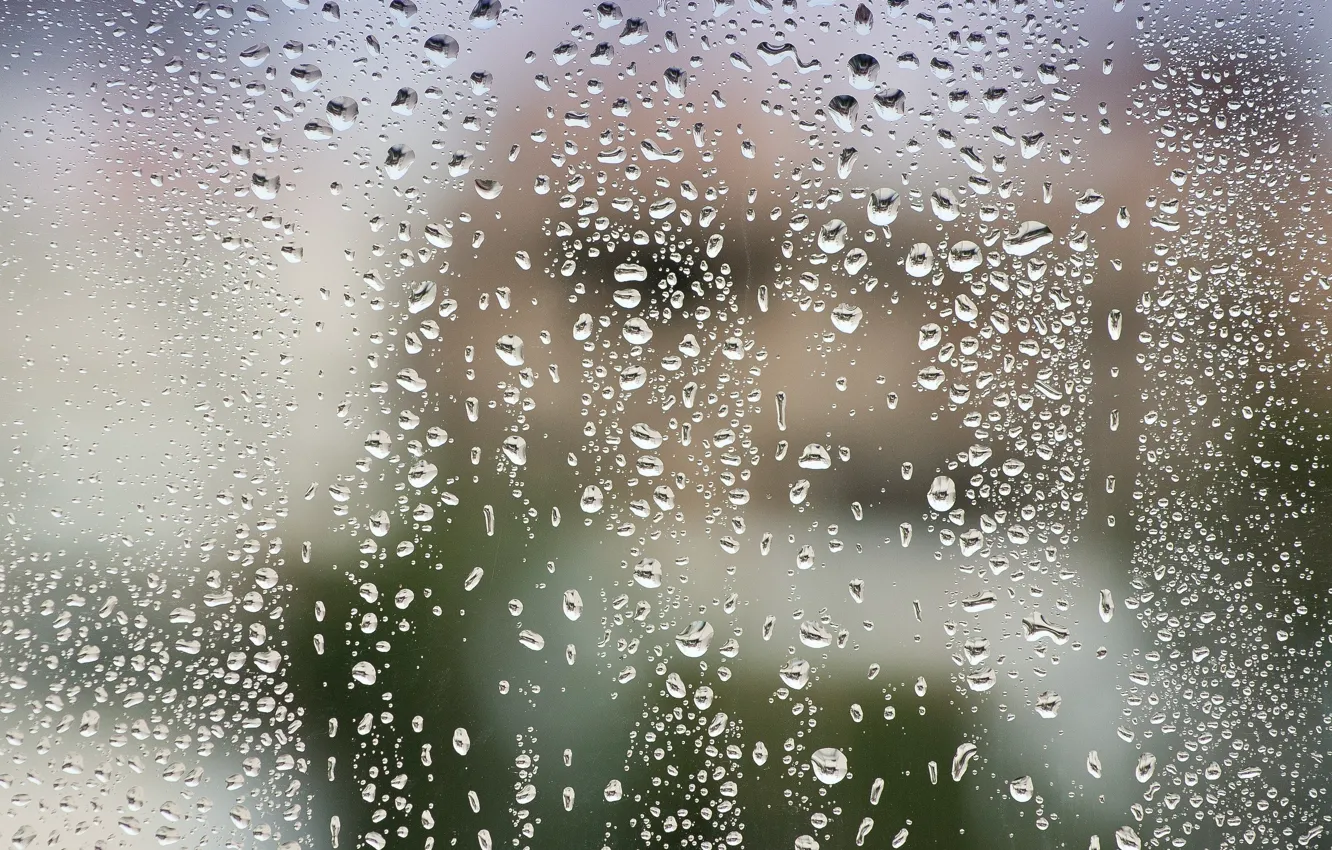 Фото обои стекло, вода, капли, после дождя, macro