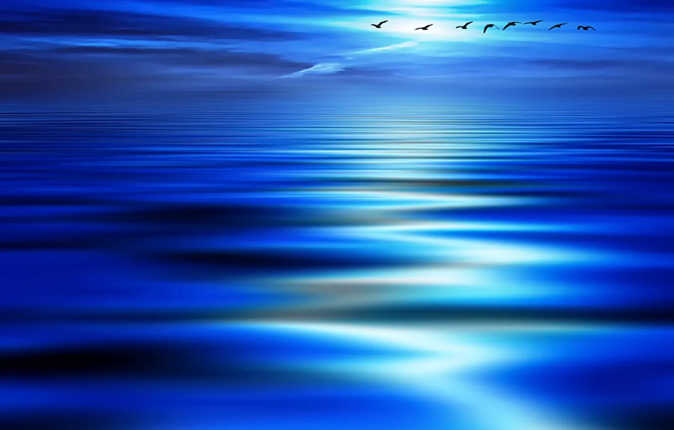 Фото обои волны, птицы, синева
