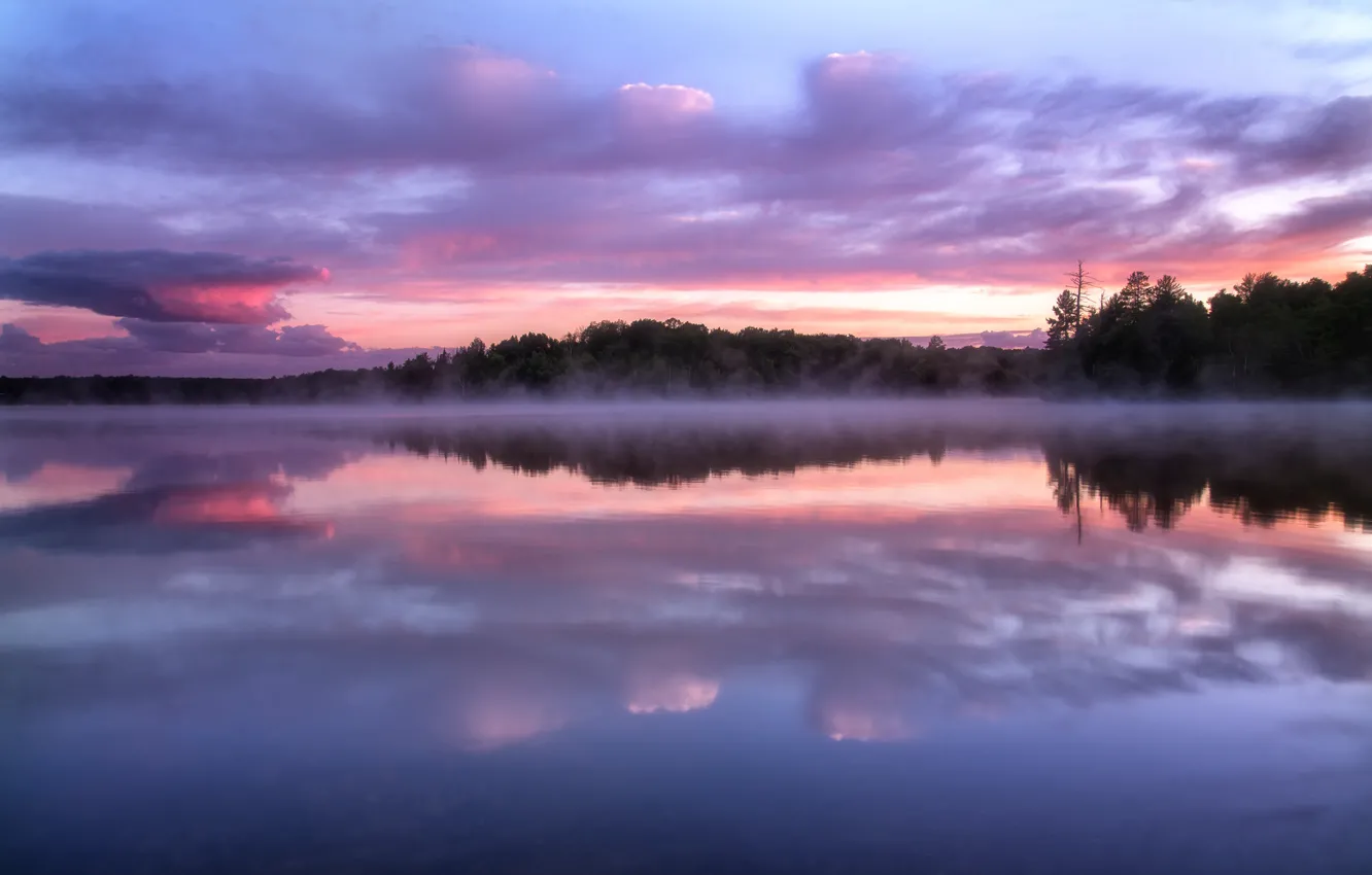 Фото обои лес, небо, облака, деревья, закат, туман, озеро, отражение