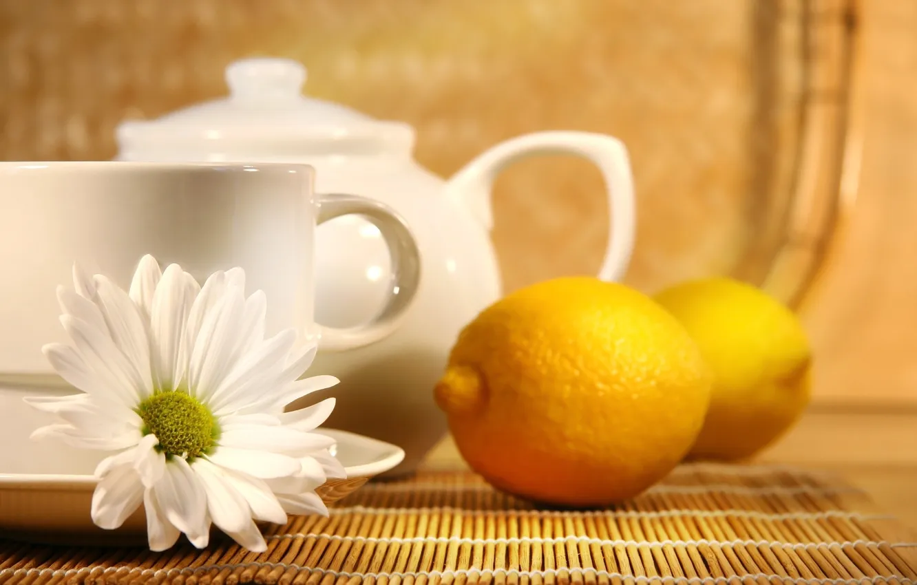 Фото обои лимон, чай, ромашка, чайник, чашка, lemon, tea