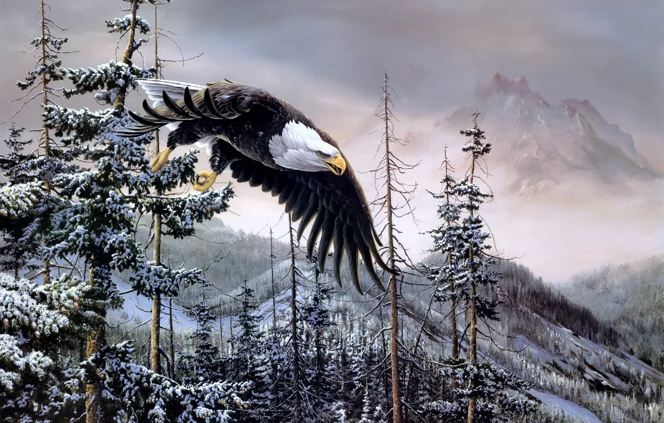 Фото обои зима, лес, горы, птицы, орел, ель, живопись, белоголовый орлан