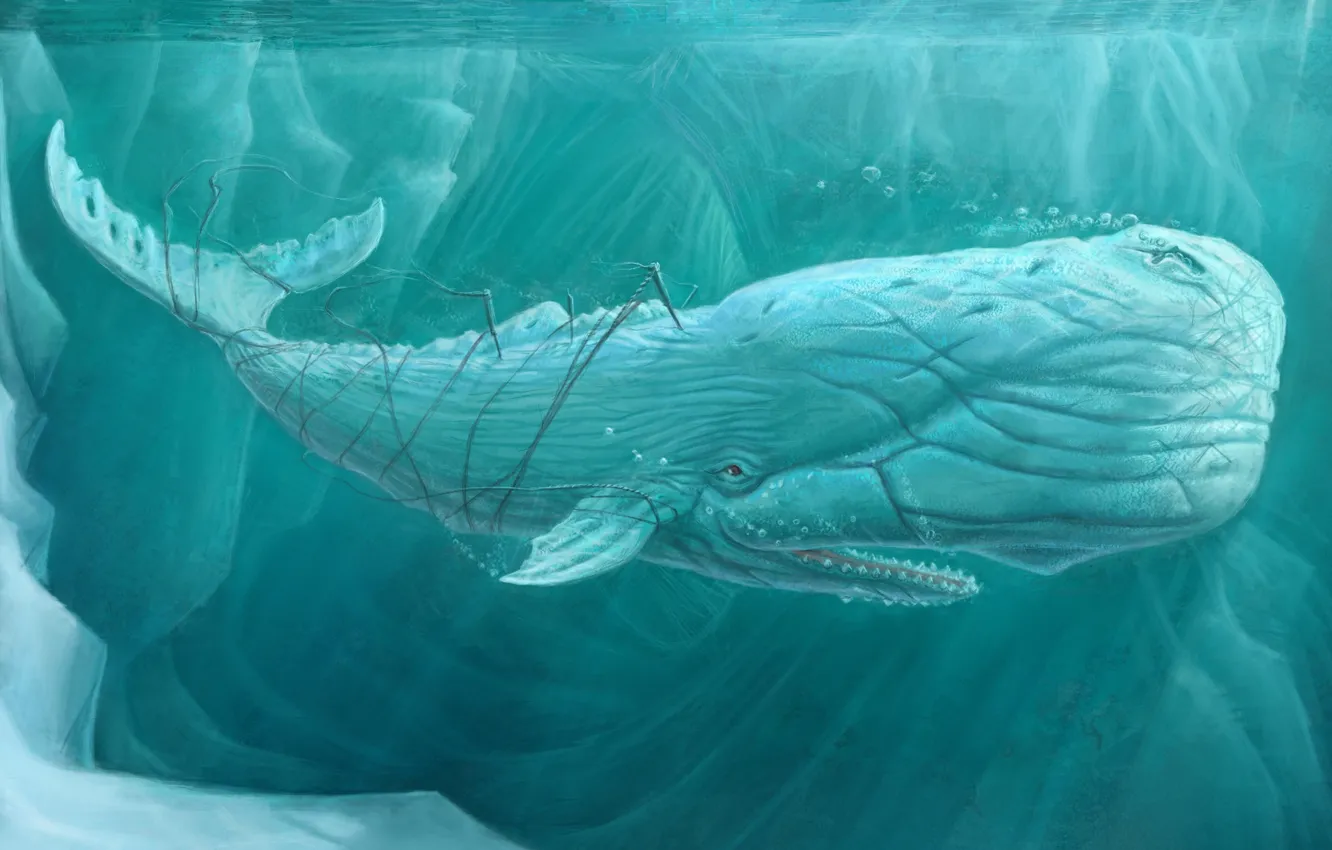 Фото обои море, кит, под водой, art, moby dick, белый кит
