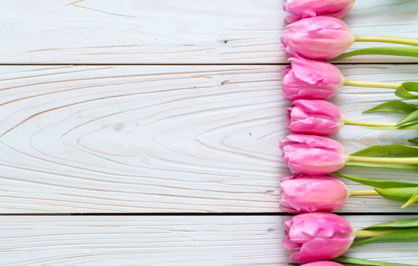 Фото обои цветы, тюльпаны, розовые, fresh, wood, pink, flowers, tulips