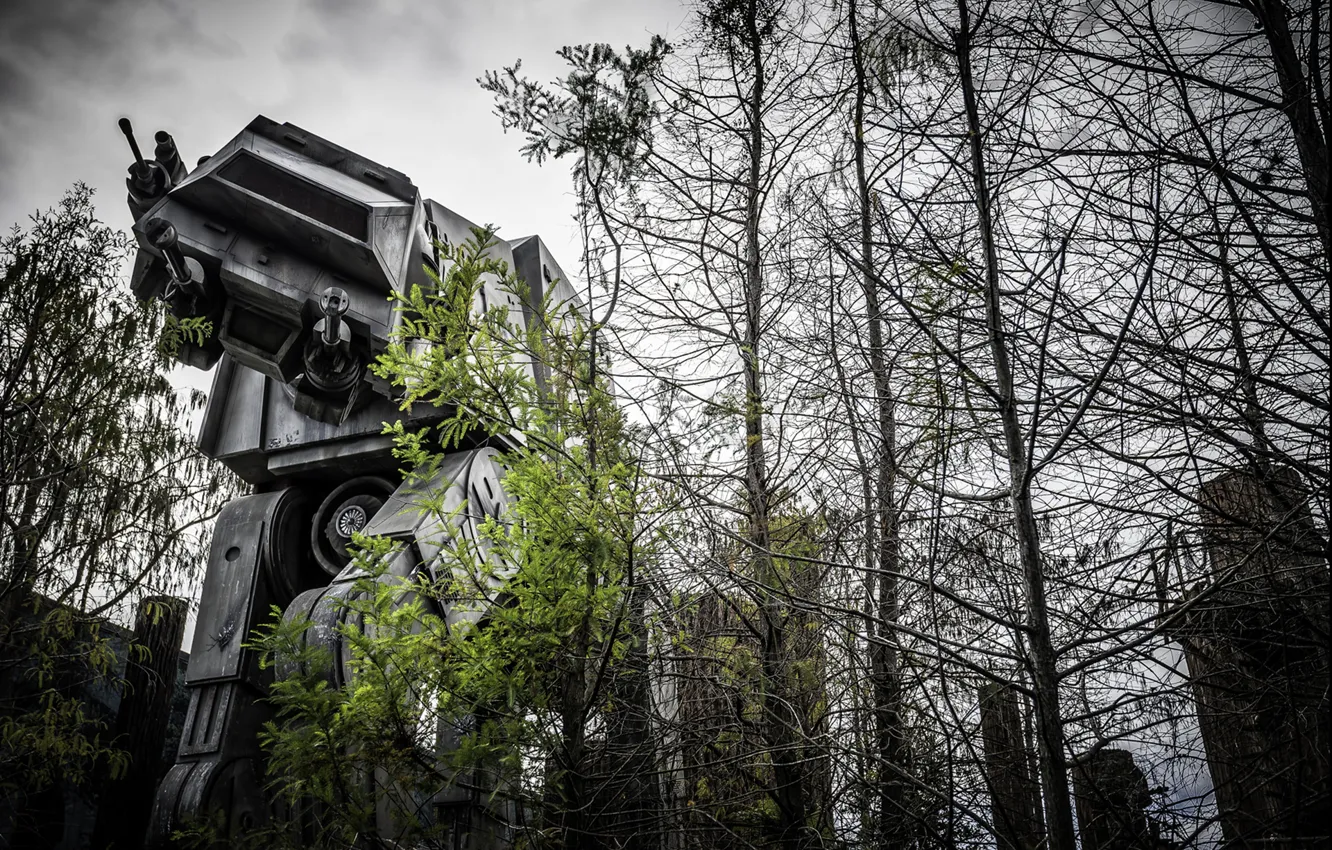 Фото обои лес, робот, большой, star wars, боевой, photo, photographer, Greg Stevenson