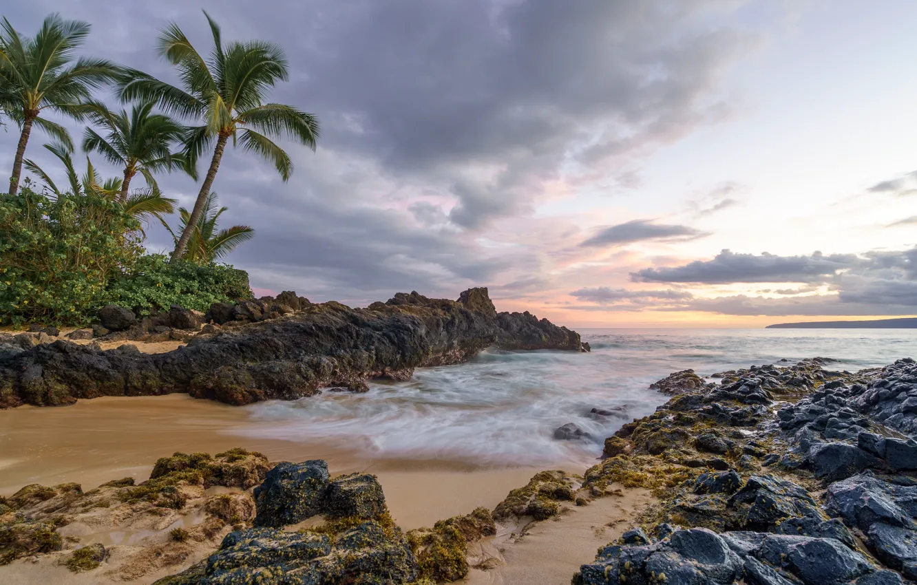 Фото обои Океан, Берег, Камни, Пальмы, Гавайи, Hawaii, Sunrise, Мауи