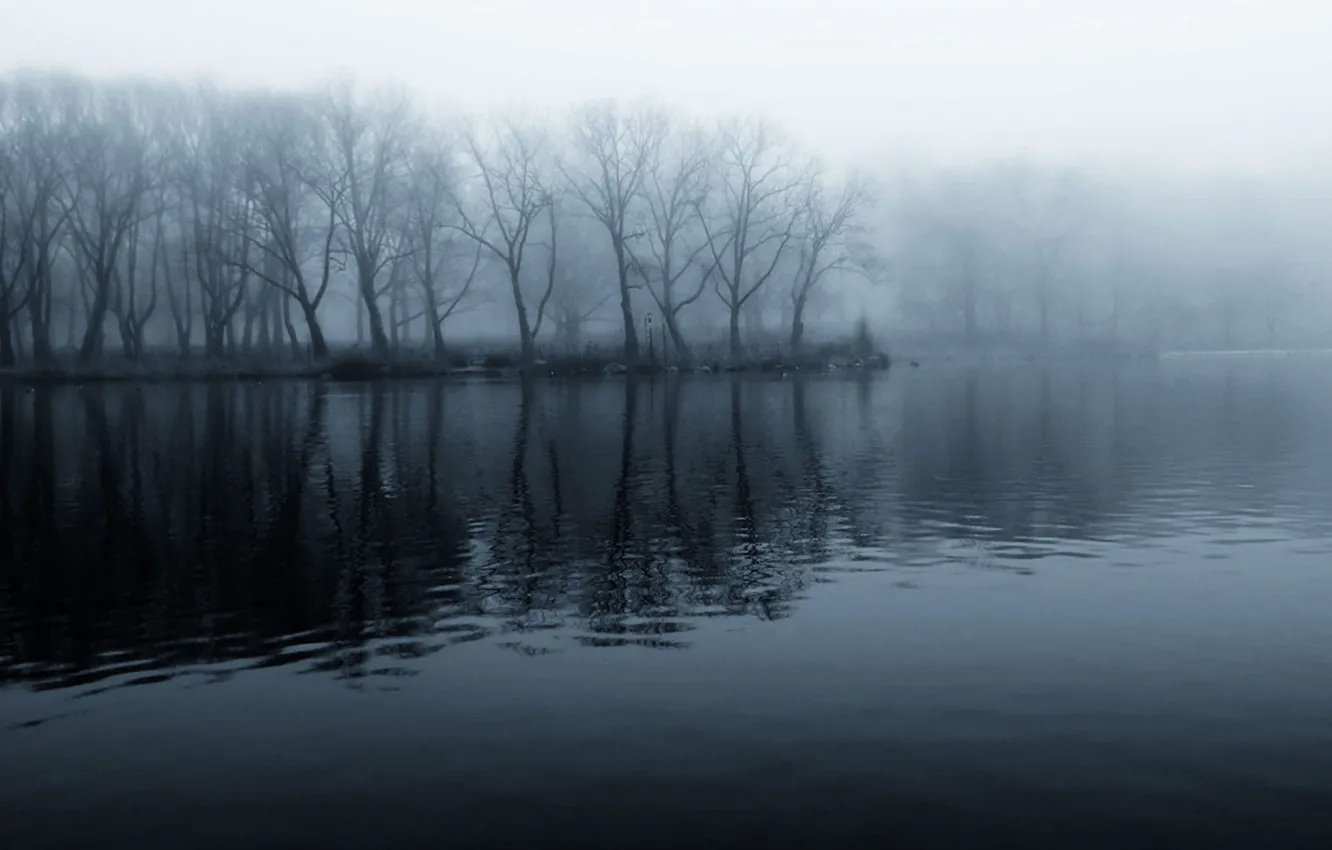 Фото обои лес, вода, мистика, черно-белое