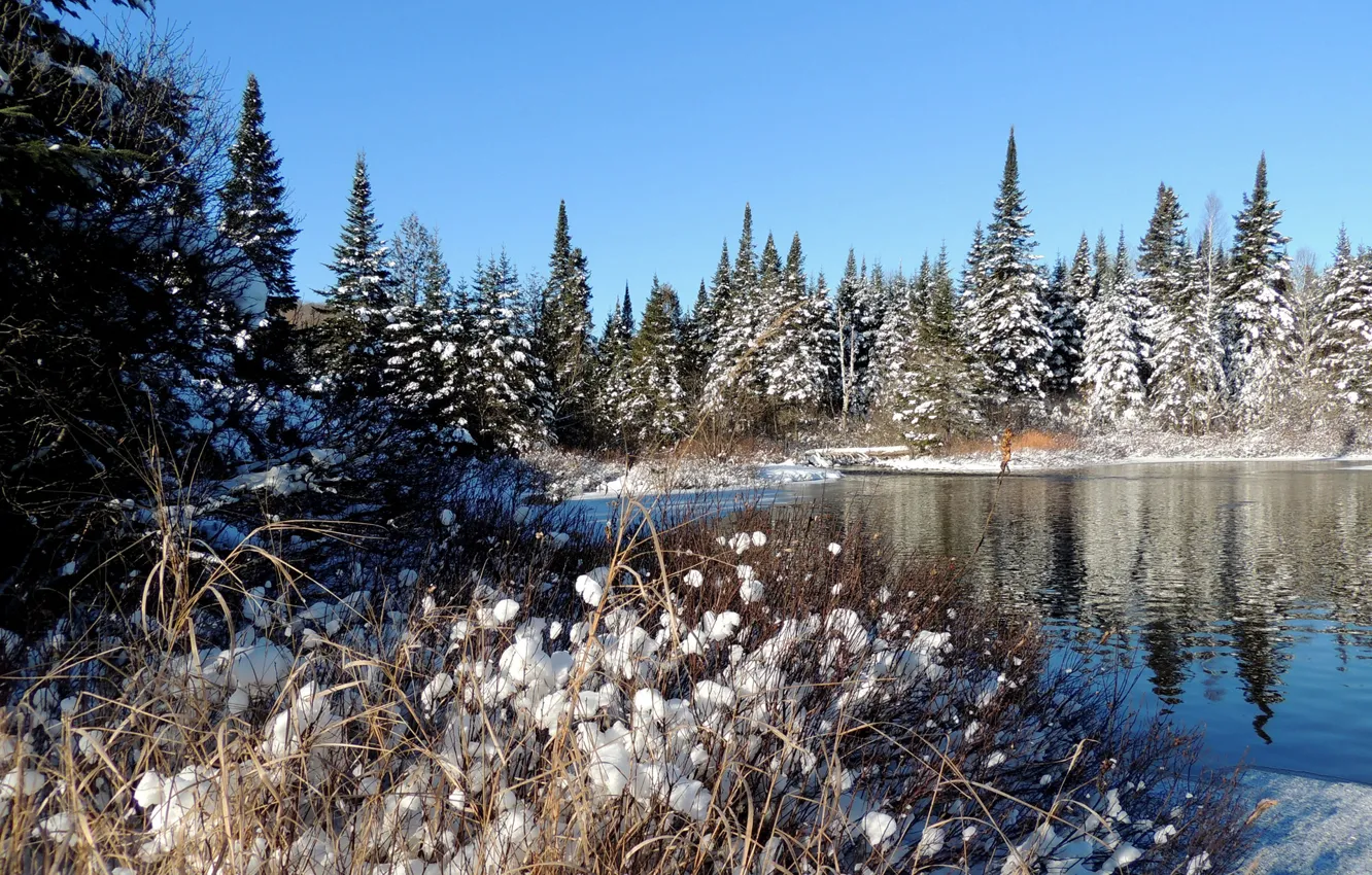 Фото обои зима, лес, небо, снег, деревья, река