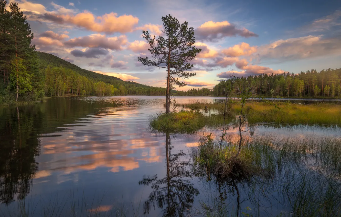 Фото обои лес, небо, закат, природа, озеро, отражение, Норвегия, Norway