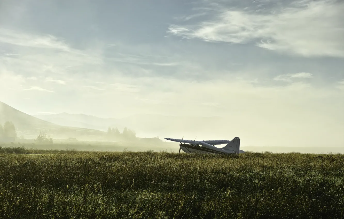 Фото обои поле, туман, самолёт