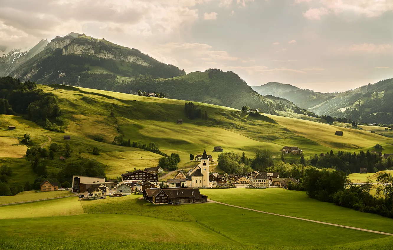Фото обои зелень, деревья, горы, поля, дома, Швейцария, Альпы, луга