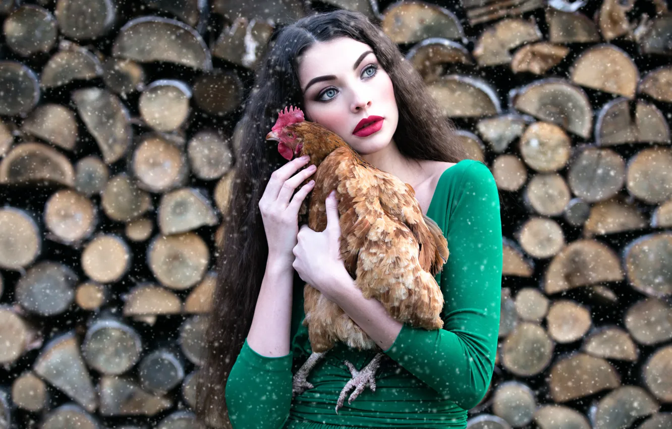 Фото обои девушка, снег, курица, макияж, дрова, Inese Stoner, Aljona
