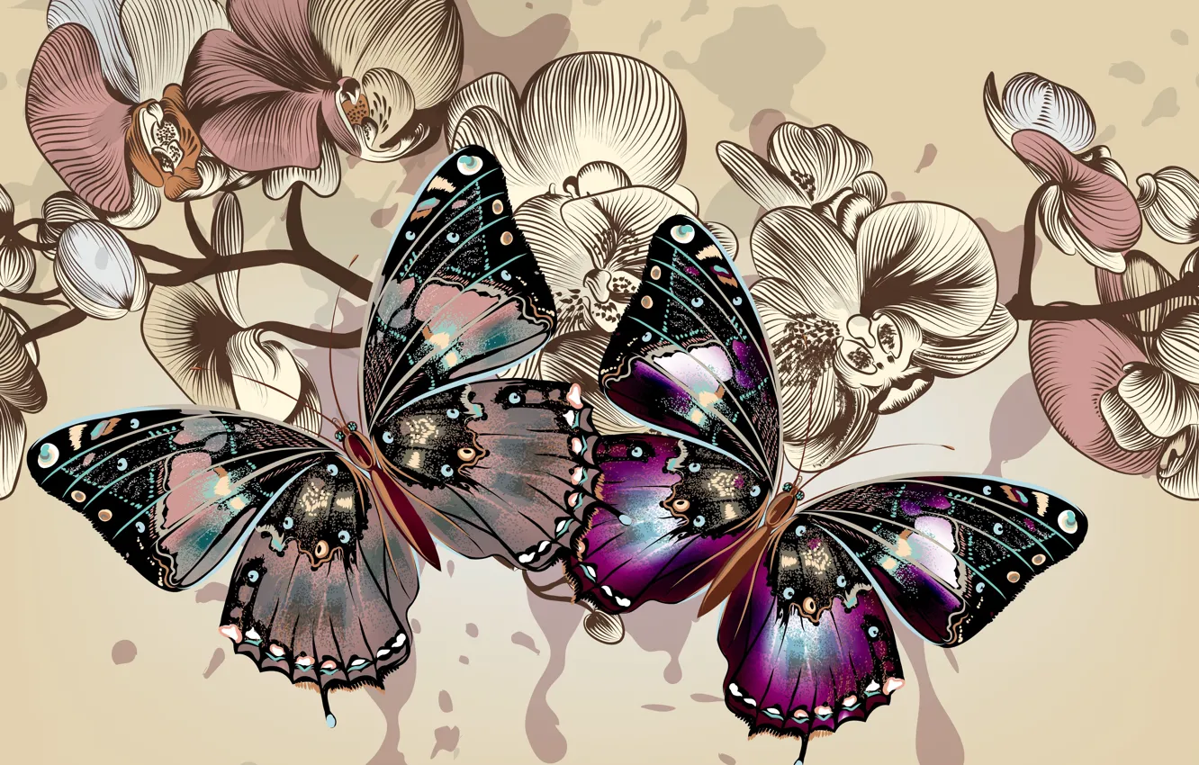Фото обои цвета, бабочки, цветы, фон, крылья, вектор
