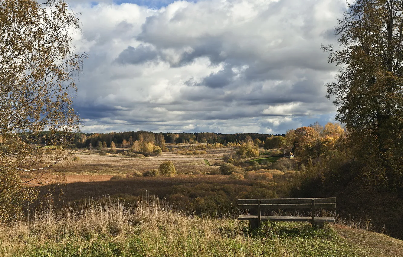 Фото обои поле, пейзаж, скамья