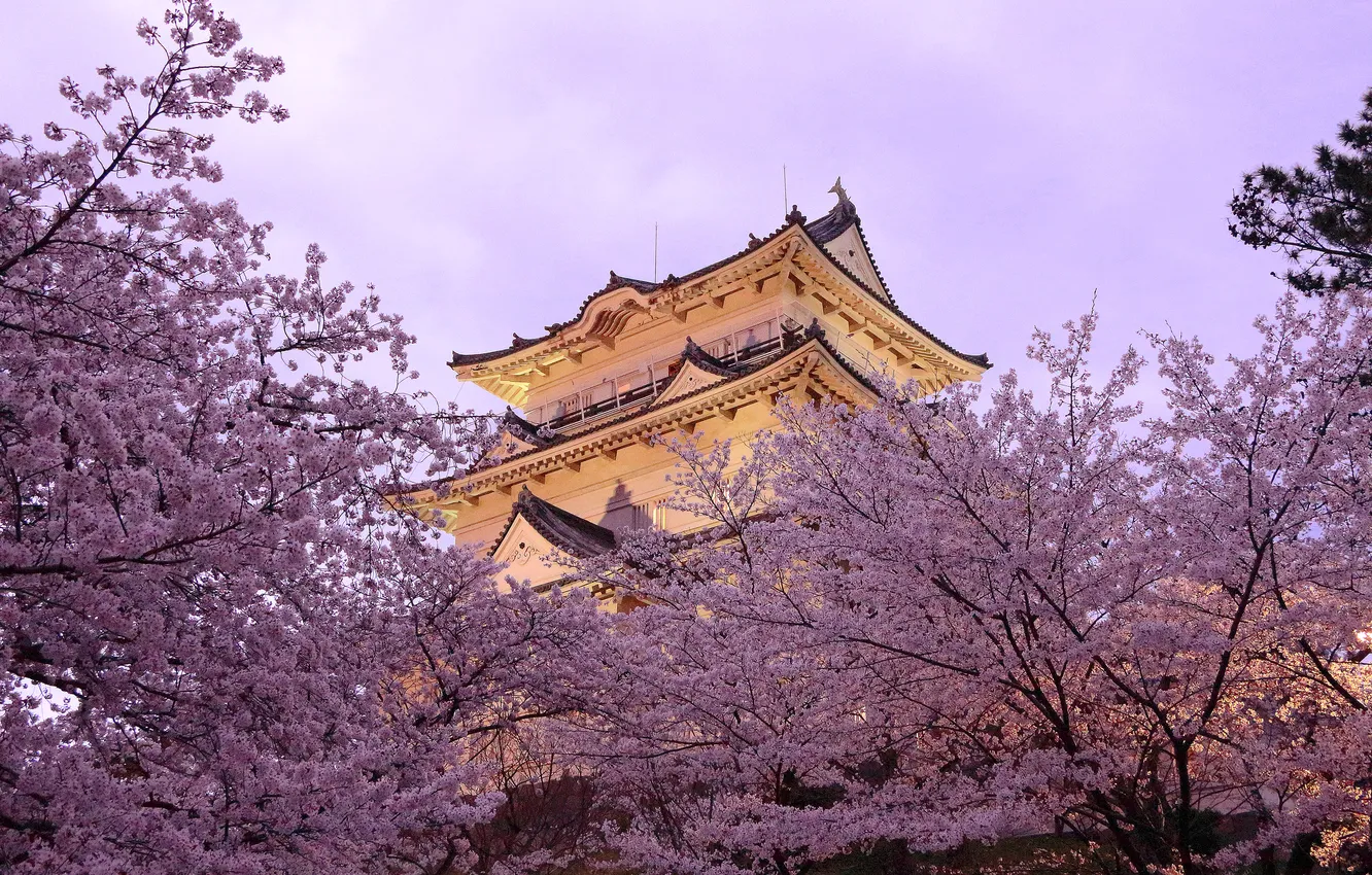 Фото обои деревья, весна, Япония, пагода, цветение
