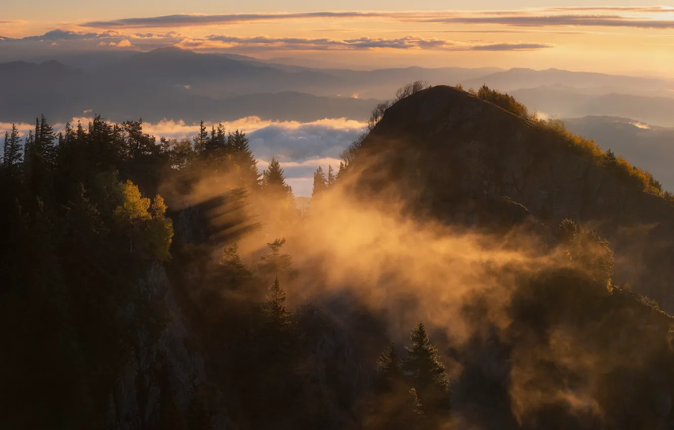 Фото обои закат, горы, туман