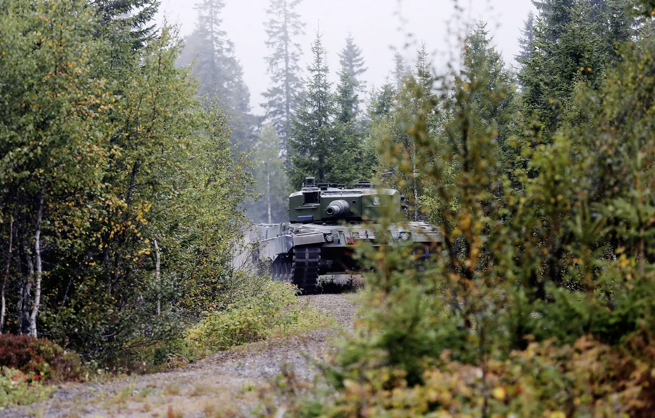 Фото обои лес, танк, боевой, бронетехника, Leopard 2 A4