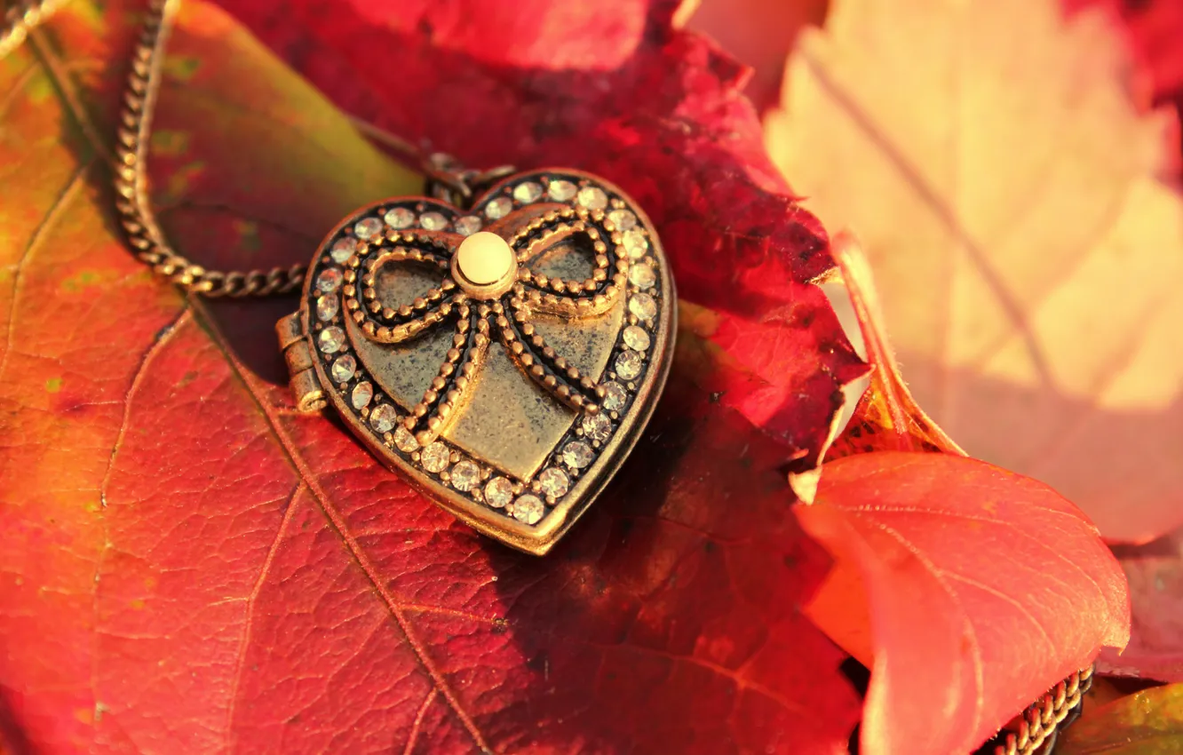 Фото обои осень, листья, макро, сердце, кулон, кристаллы, сердечко, подвеска