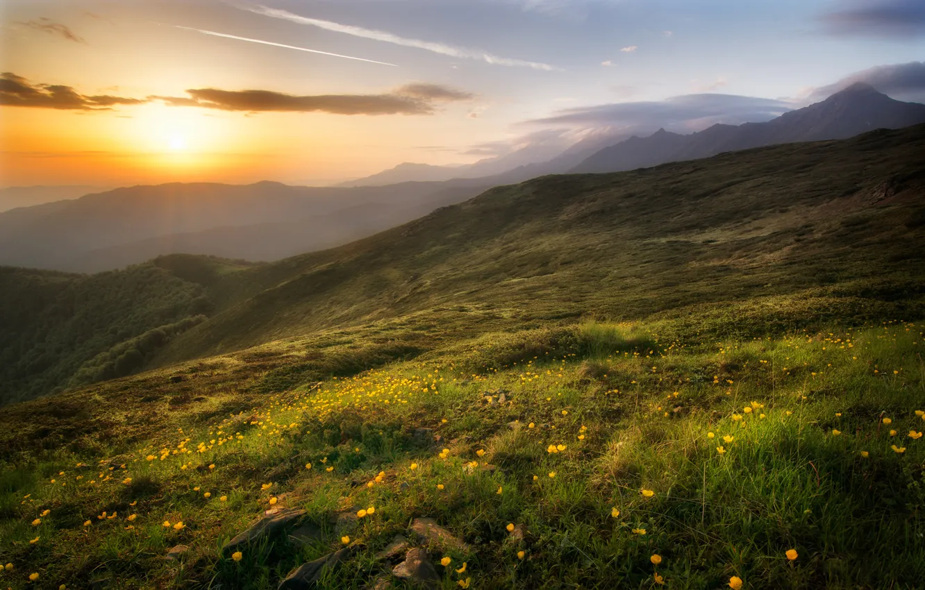 Фото обои трава, облака, закат, цветы, Болгария, Стара Планина