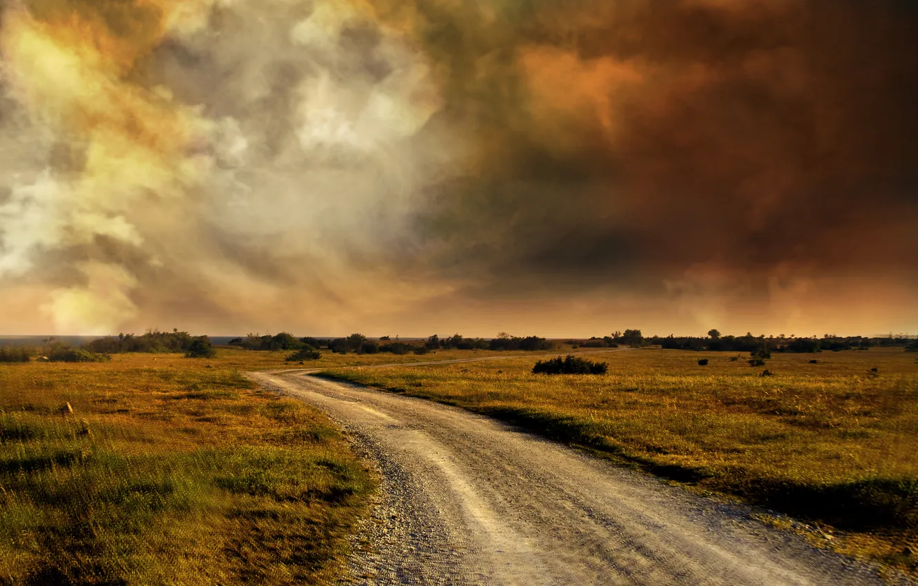 Фото обои дорога, поле, облака