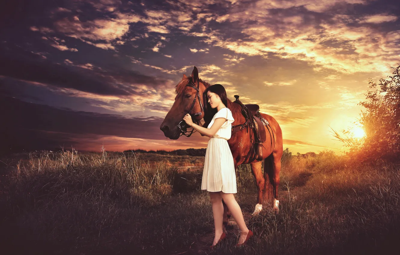 Фото обои девушка, закат, настроение, конь