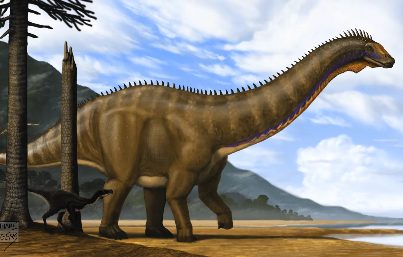 Фото обои Животные, Древние, Динозавры, Apatosaurus