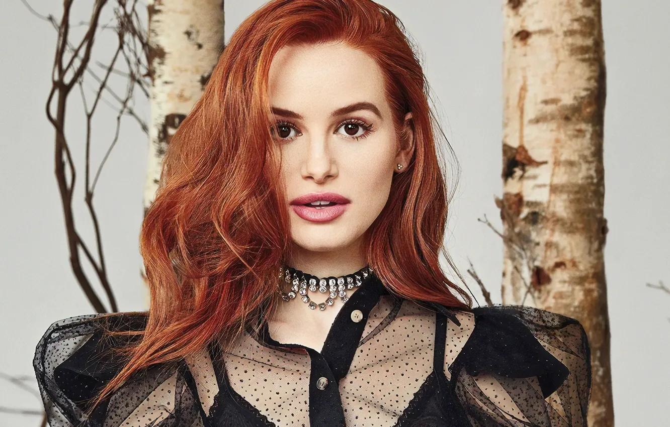Фото обои взгляд, девушка, лицо, актриса, рыжая, Madelaine Petsch