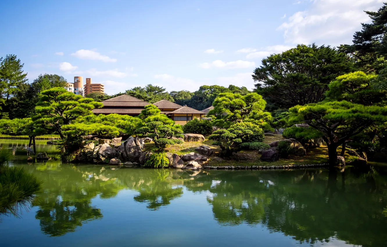 Фото обои деревья, природа, пруд, фото, Япония, сад, Takamatsu, Japan Ritsurin garden