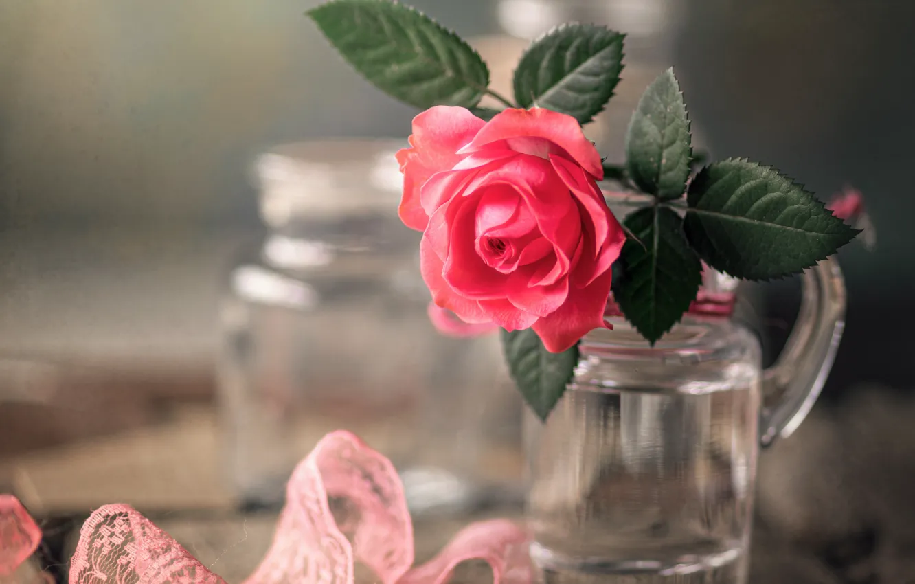 Фото обои цветок, макро, доски, роза, кружево