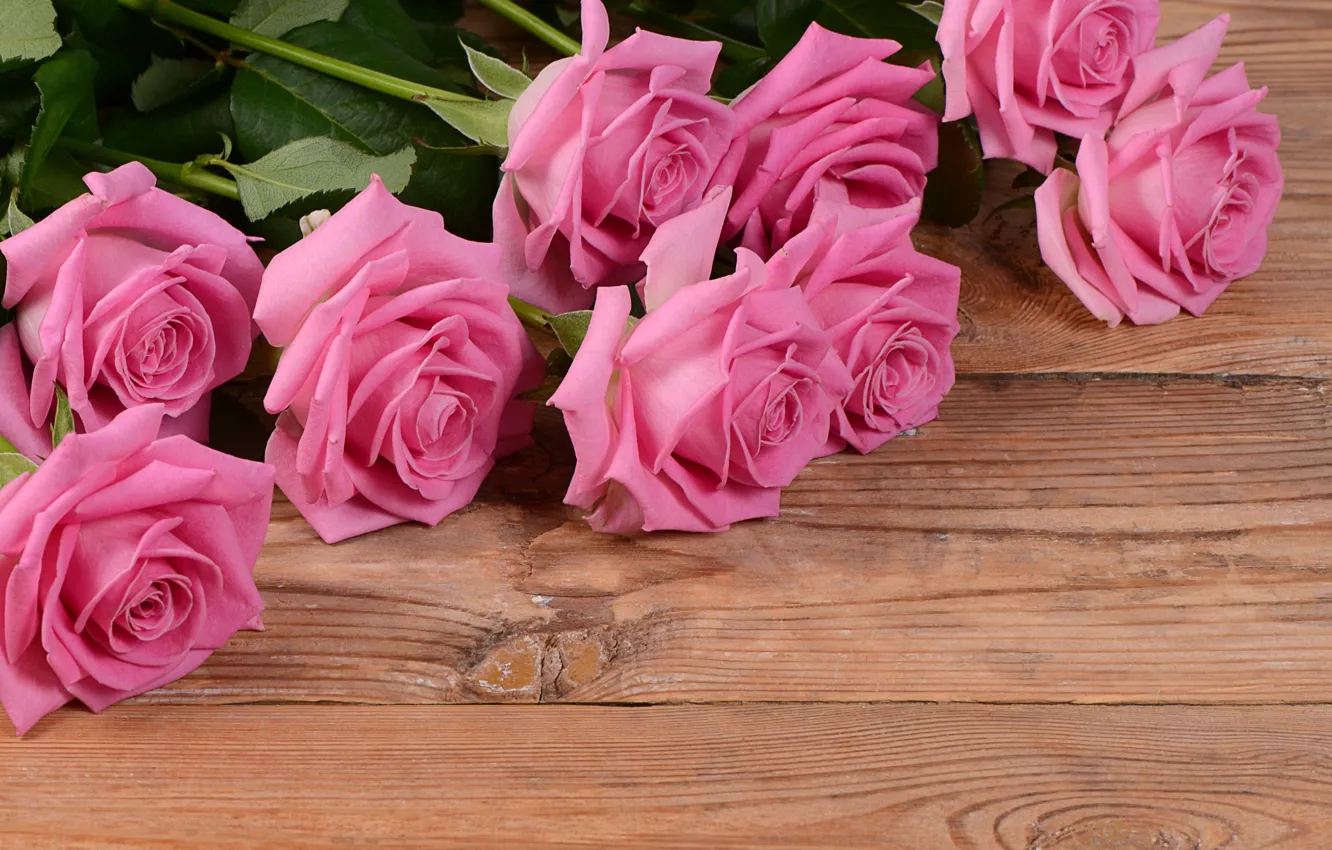 Фото обои цветы, фон, доски, розы