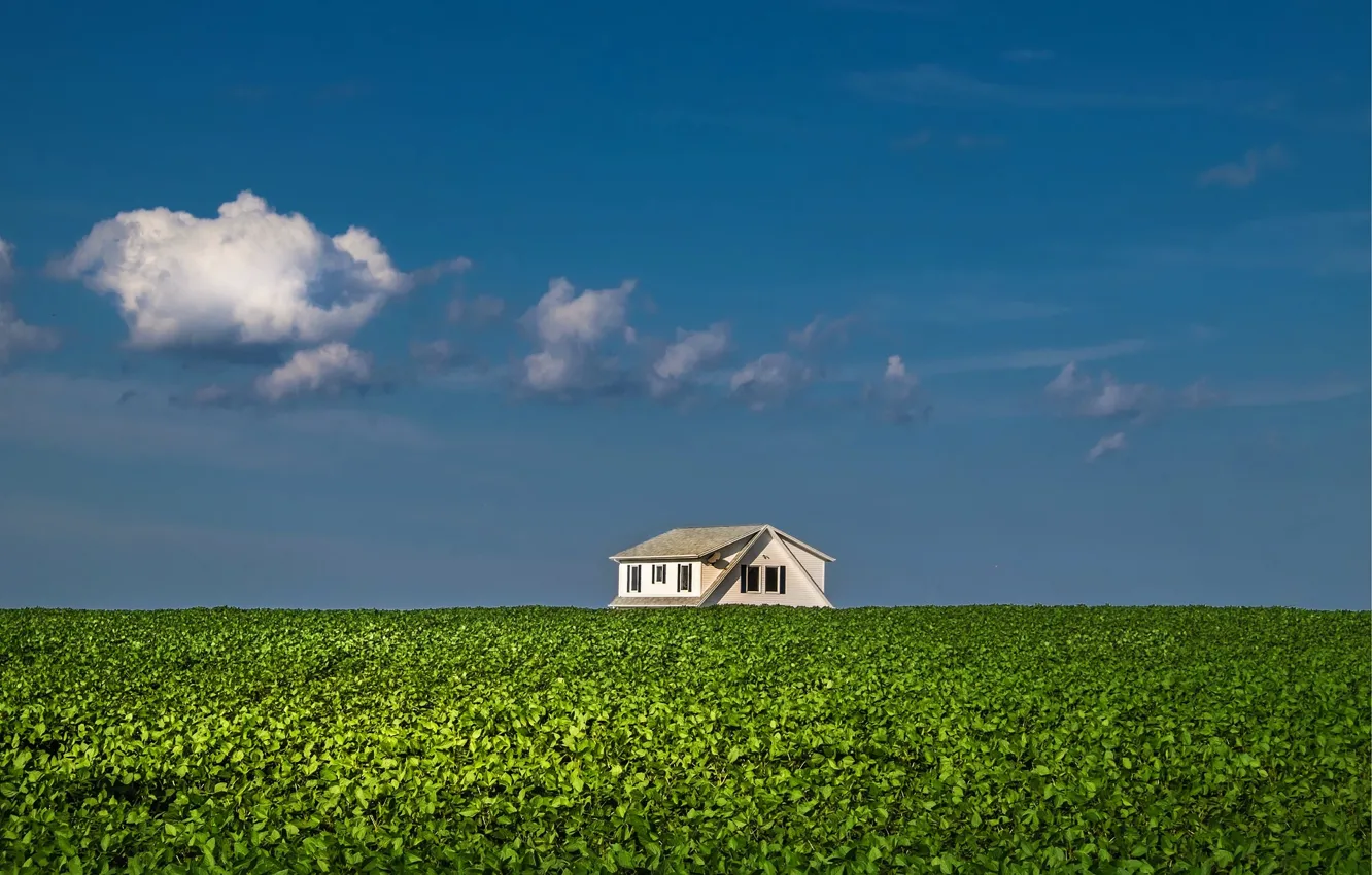 Фото обои house, sky, clouds, farm, sunny, farmland, potatoe field