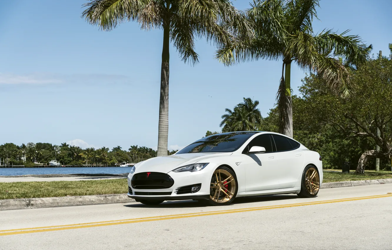 Фото обои Tesla, model, Wheels, Niche