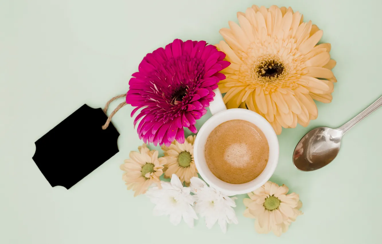 Фото обои цветы, фон, colorful, розовые, герберы, pink, flowers, coffee cup