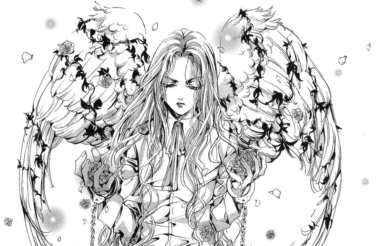 Фото обои рисунок, черно-белая, розы, крылья, лепестки, цепи, длинные волосы, art