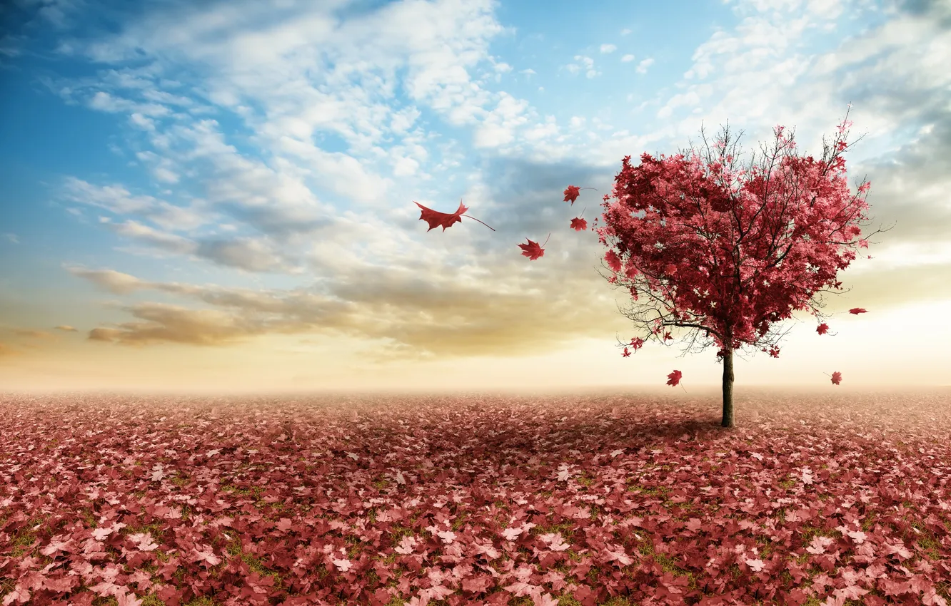 Фото обои небо, листья, ветки, дерево, сердце, розовые