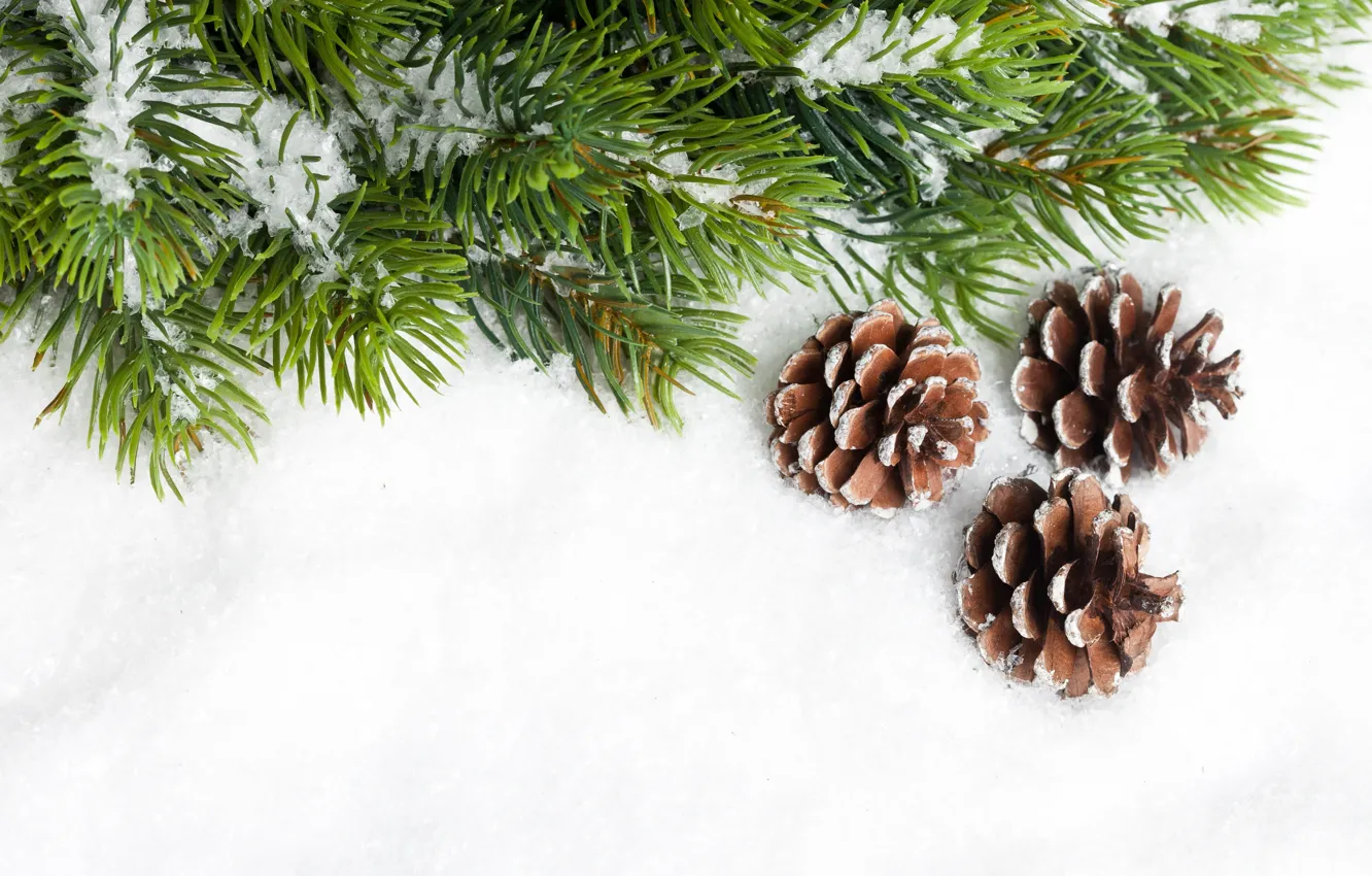 Фото обои снег, иголки, елка, ель, ветка, Новый Год, Рождество, Christmas