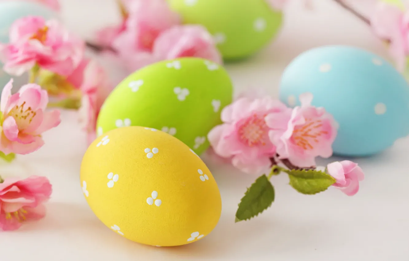 Фото обои цветы, яйца, пасха, flowers, Easter, eggs, delicate, pastel