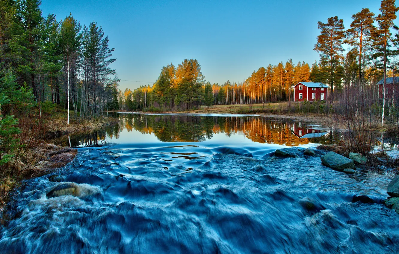 Фото обои лес, река, движение, поток, утро, красные, домики