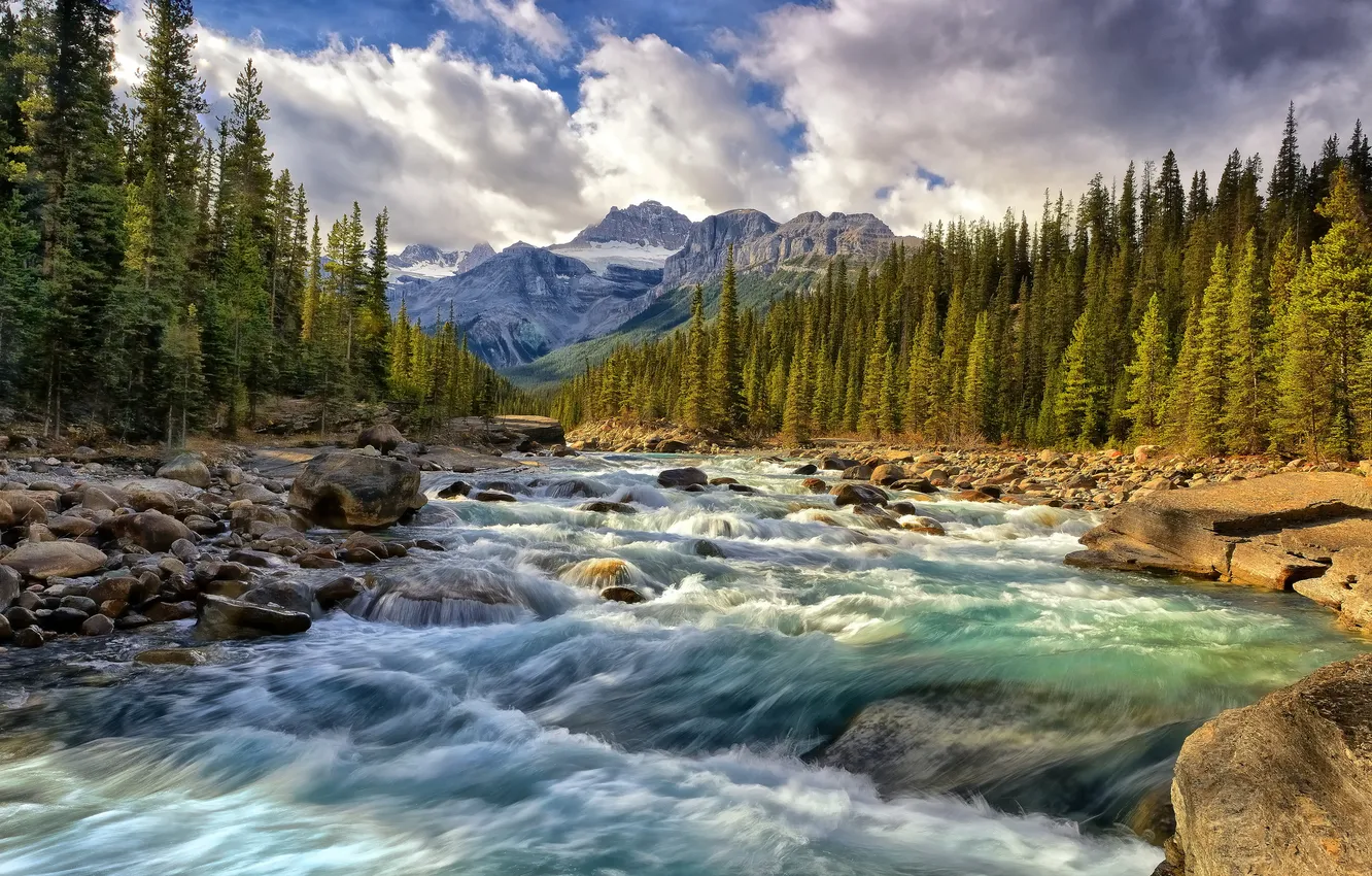 Фото обои лес, горы, река, камни, поток