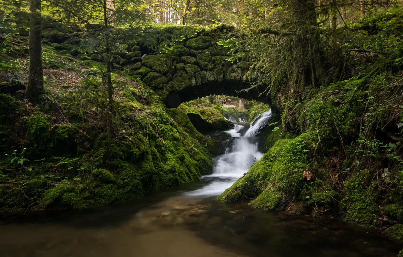 Фото обои лес, мост, ручей, Германия, речка, каскад, Germany, Black Forest